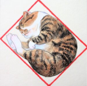 にゃんこ in the box